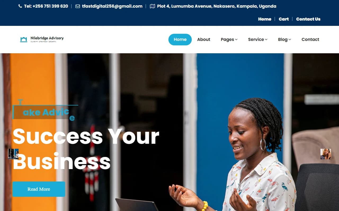 Nilebridge Advisory desktop homepage screenshot