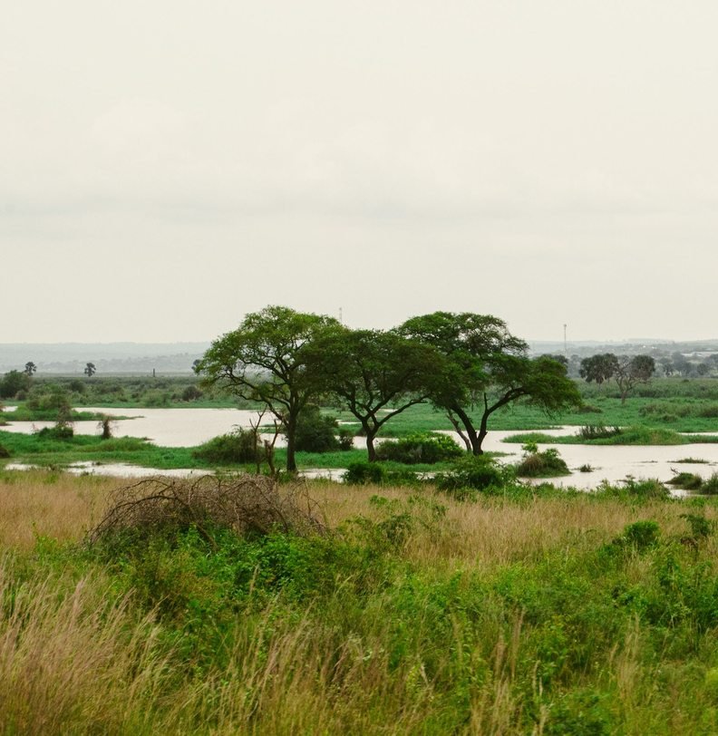 River Nile at Murchison Falls National Park