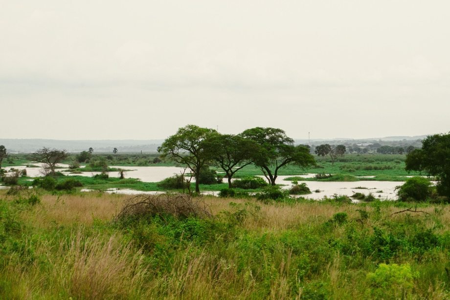 River Nile at Murchison Falls National Park