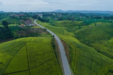 Lush green hills and countryside in Uganda