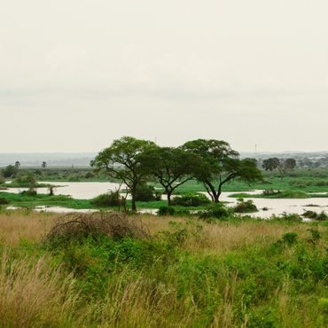 River Nile at Murchison Falls National Park