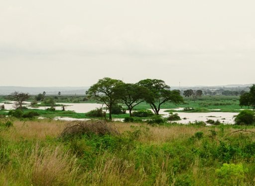 River Nile at Murchison Falls National Park