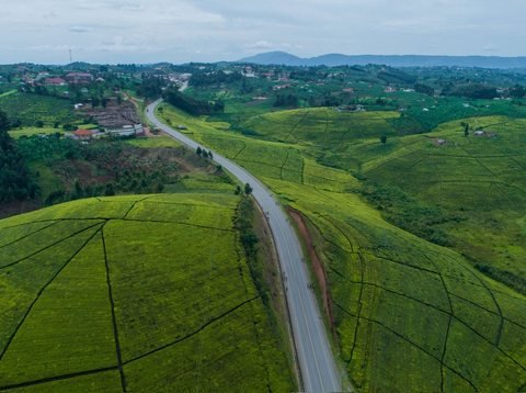 Lush green hills and countryside in Uganda