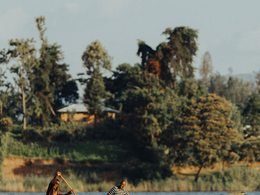 Canoe on a lake in the Ugandan landscape