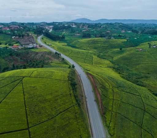 Lush green hills and countryside in Uganda