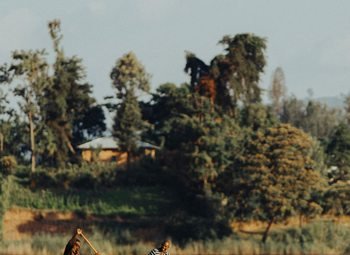 Canoe on a lake in the Ugandan landscape