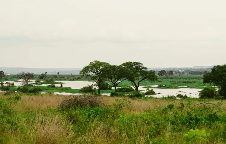 River Nile at Murchison Falls National Park