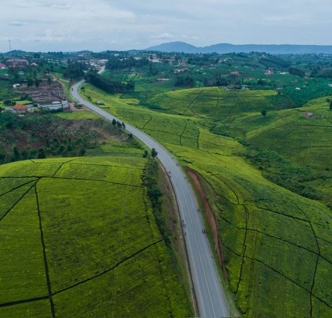 Lush green hills and countryside in Uganda