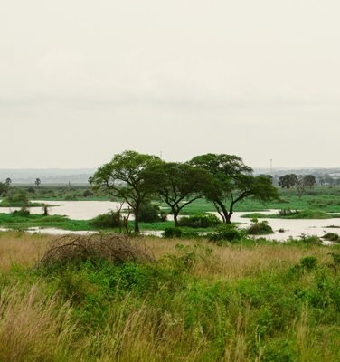 River Nile at Murchison Falls National Park