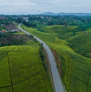 Lush green hills and countryside in Uganda