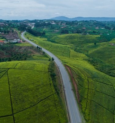 Lush green hills and countryside in Uganda