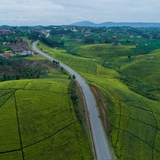Lush green hills and countryside in Uganda