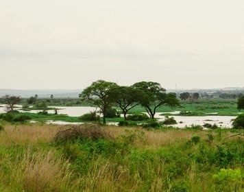 River Nile at Murchison Falls National Park