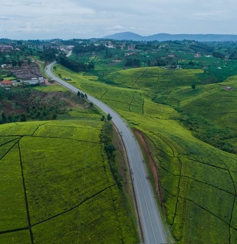 Lush green hills and countryside in Uganda