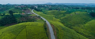 Lush green hills and countryside in Uganda