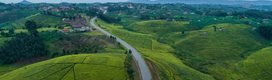 Lush green hills and countryside in Uganda