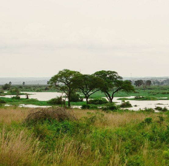 River Nile at Murchison Falls National Park