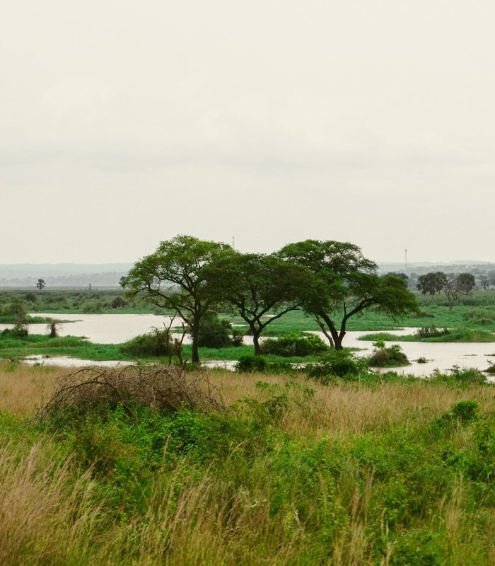 River Nile at Murchison Falls National Park