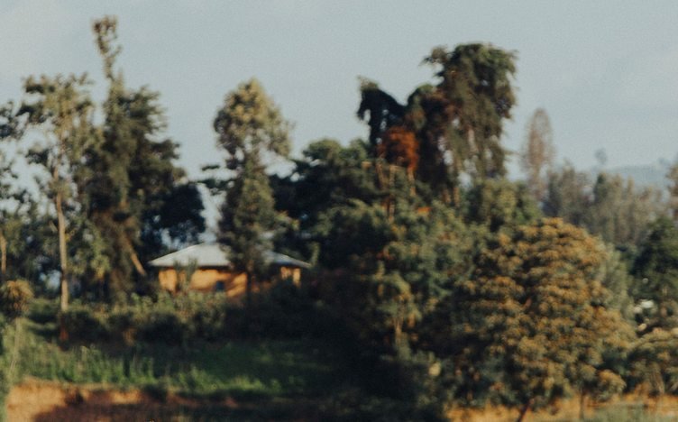 Canoe on a lake in the Ugandan landscape