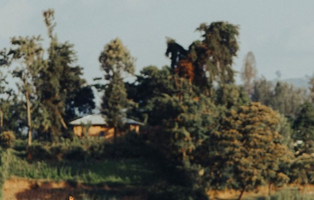 Canoe on a lake in the Ugandan landscape