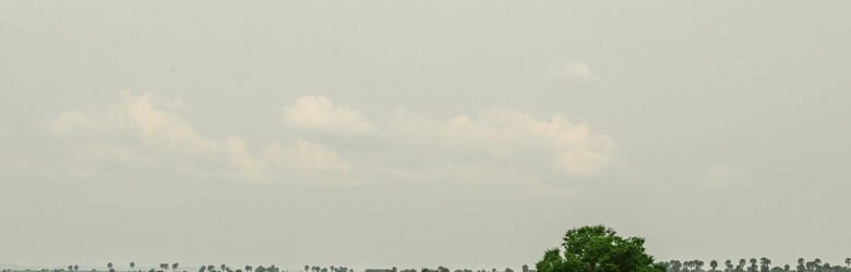 Green savannah landscape in Uganda