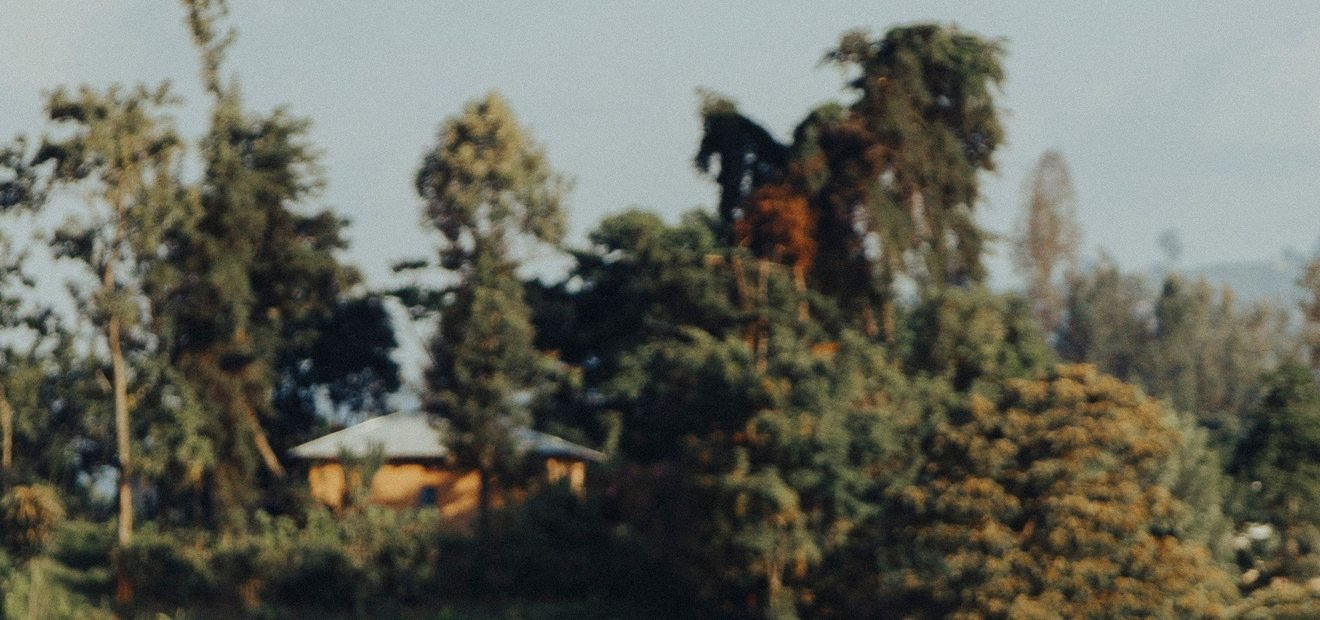 Canoe on a lake in the Ugandan landscape